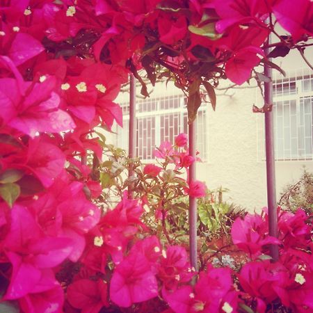 Hostel Nossa Casa Florianópolis Dış mekan fotoğraf