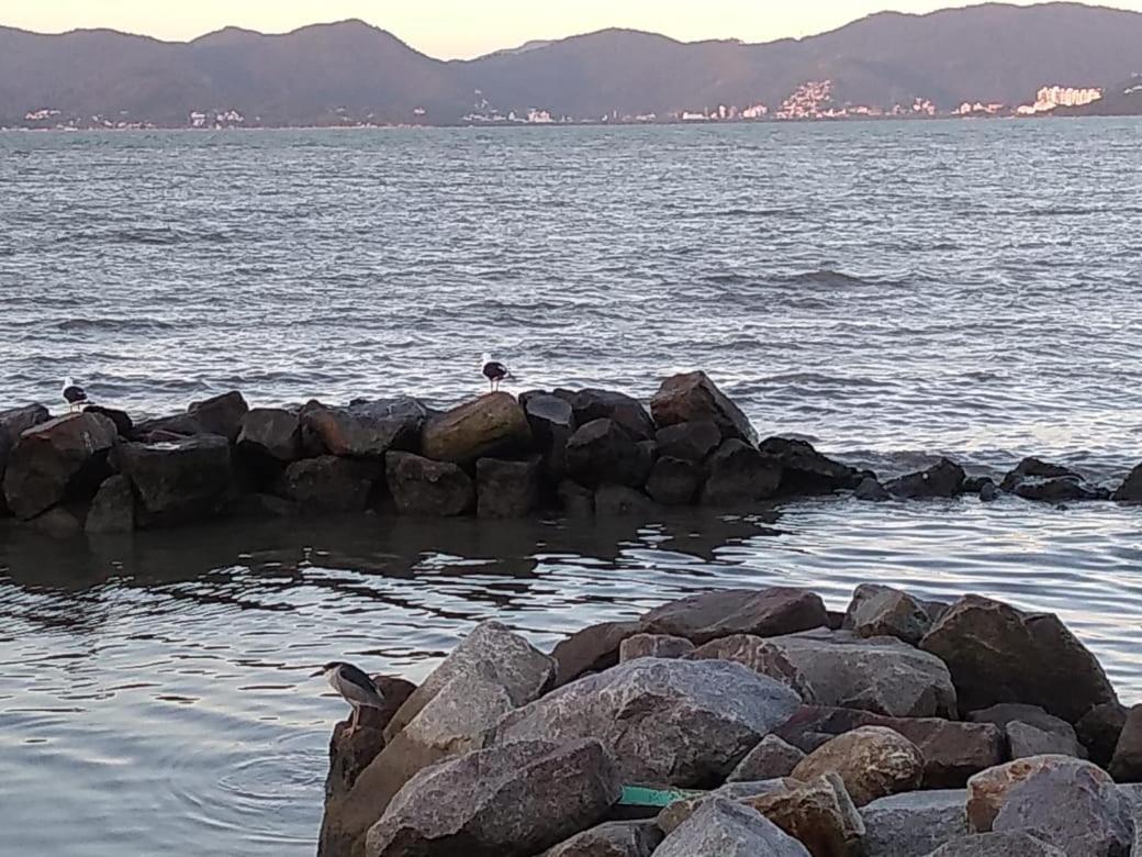 Hostel Nossa Casa Florianópolis Dış mekan fotoğraf