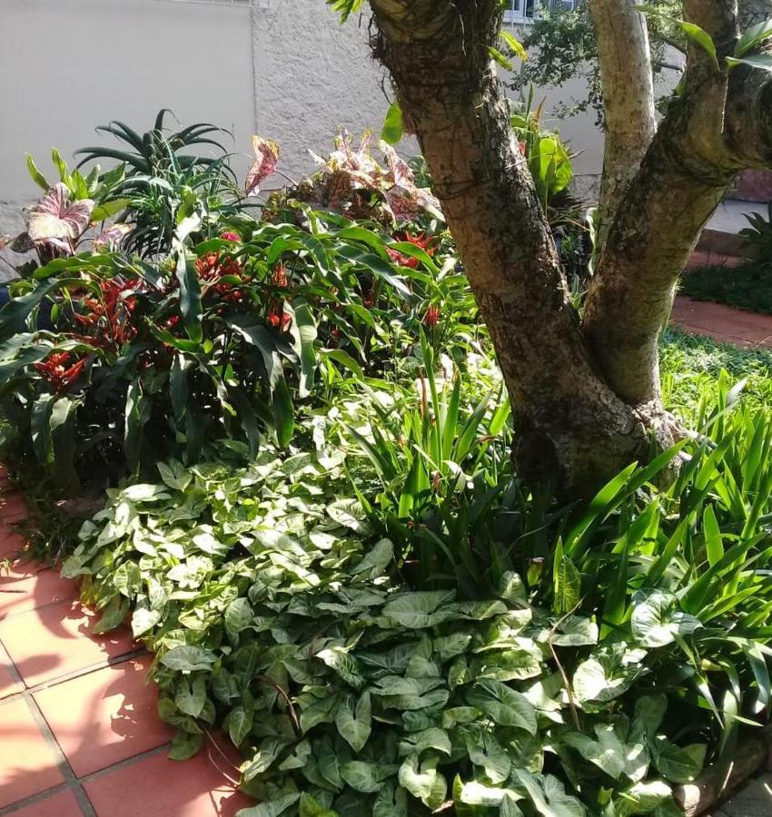 Hostel Nossa Casa Florianópolis Dış mekan fotoğraf