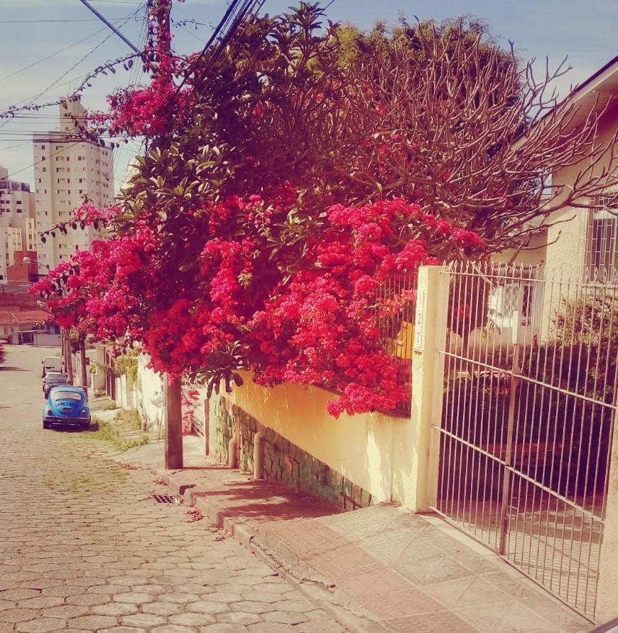 Hostel Nossa Casa Florianópolis Dış mekan fotoğraf