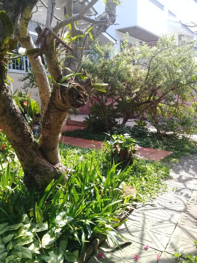 Hostel Nossa Casa Florianópolis Dış mekan fotoğraf